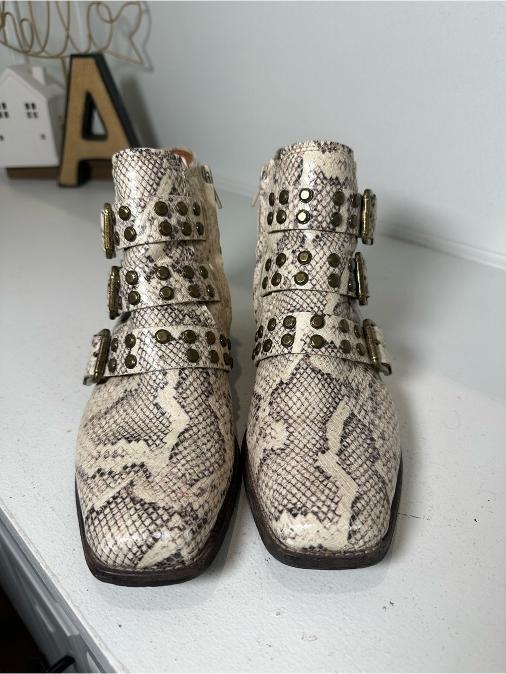 Zodiac Snake Print Ankle Boots Womens 8 Leather Studded Buckle Moto Booties - Picture 2 of 8